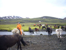 Iceland-Highland Tours-Classic Wilderness Tour